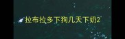 拉布拉多下狗几天下奶