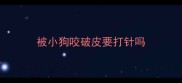 被小狗咬破皮要打针吗