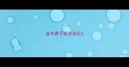 金毛鼻子脱毛发红