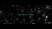 狗狗喂什么长得快