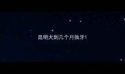 昆明犬到几个月换牙