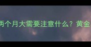幼犬护理指南迷你泰迪两个月大需要注意什么黄金发育期科学养护全攻略