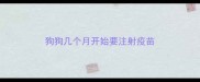 狗狗几个月开始要注射疫苗