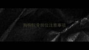 狗狗髌骨脱位注意事项