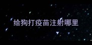 给狗打疫苗注射哪里