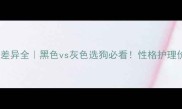 哈士奇颜色差异全黑色vs灰色选狗必看性格护理价格大公开