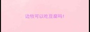 边牧可以吃豆腐吗