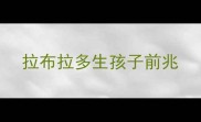 拉布拉多生孩子前兆