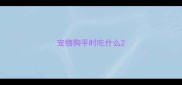 宠物狗平时吃什么