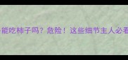 拉布拉多能吃柿子吗危险这些细节主人必看
