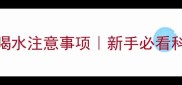 哈士奇幼犬喝水注意事项新手必看科学喂养指南