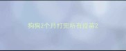 狗狗2个月打完所有疫苗