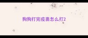 狗狗打完疫苗怎么打