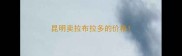 昆明卖拉布拉多的价格