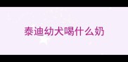 泰迪幼犬喝什么奶