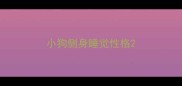 小狗侧身睡觉性格