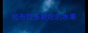拉布拉多能吃的水果