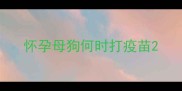 怀孕母狗何时打疫苗