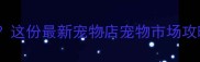 深圳哪里买宠物这份最新宠物店宠物市场攻略来啦