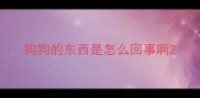 狗狗的东西是怎么回事啊