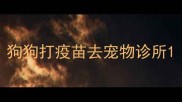 狗狗打疫苗去宠物诊所