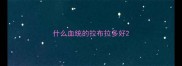什么血统的拉布拉多好