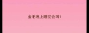 金毛晚上睡觉会叫