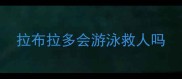 拉布拉多会游泳救人吗