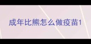 成年比熊怎么做疫苗
