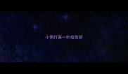 小狗打第一针疫苗前
