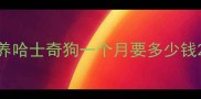 养哈士奇狗一个月要多少钱