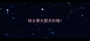 哈士奇大型犬价格