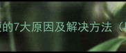 小狗随地小便的7大原因及解决方法附训练指南