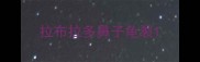 拉布拉多鼻子龟裂