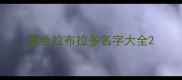 黑色拉布拉多名字大全