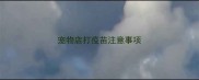 宠物店打疫苗注意事项