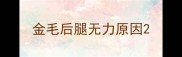 金毛后腿无力原因