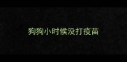 狗狗小时候没打疫苗