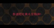 泰迪呕吐黄水没精神
