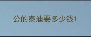 公的泰迪要多少钱
