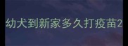幼犬到新家多久打疫苗