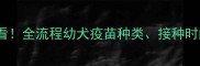 格力犬幼犬必看全流程幼犬疫苗种类接种时间及注意事项