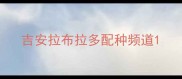 吉安拉布拉多配种频道