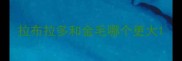拉布拉多和金毛哪个更大