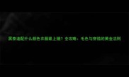 黑泰迪配什么颜色衣服最上镜全攻略毛色与穿搭的黄金法则
