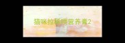 猫咪拉稀喂营养膏