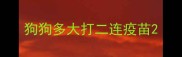 狗狗多大打二连疫苗