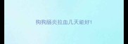 狗狗肠炎拉血几天能好