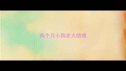 两个月小狗老大喷嚏