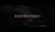 泰迪吃那款狗粮好